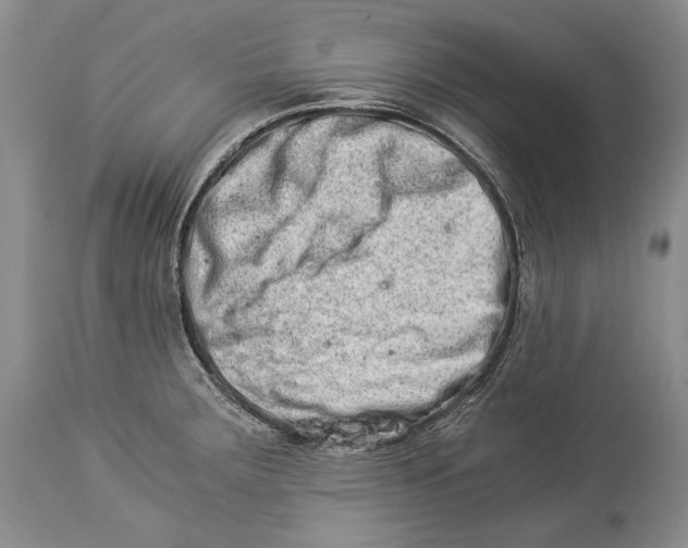 X0000113991283200910231722