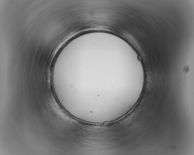 X0000113991284200910231722