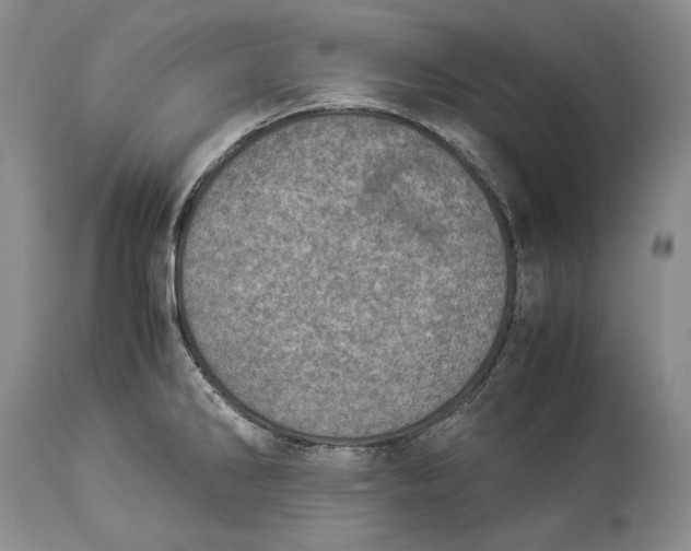 X0000113991286200910231721