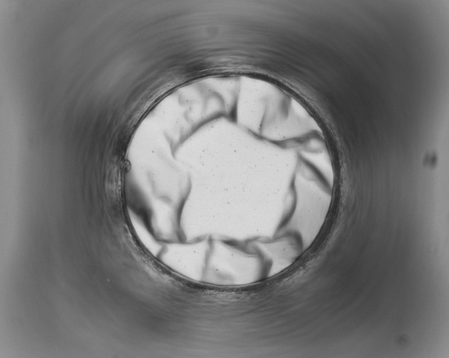 X0000113991289200910231721