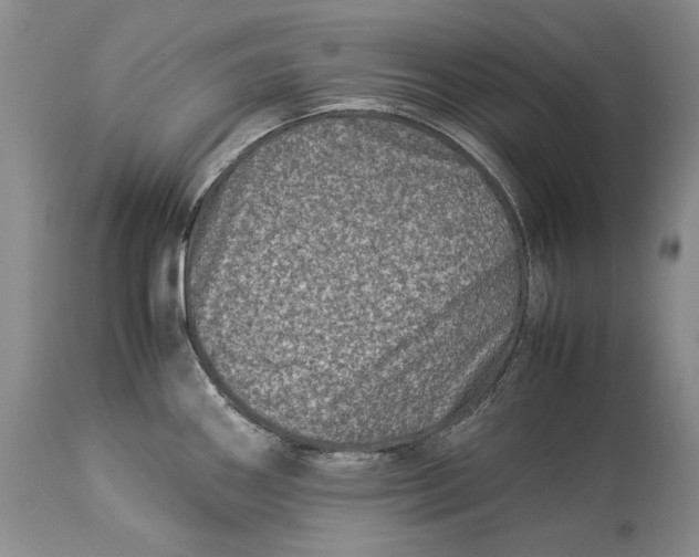 X0000113991290200910231721