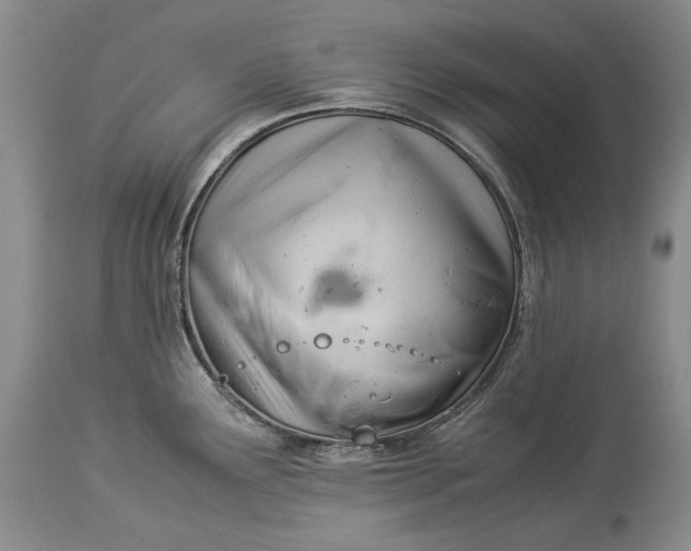 X0000113991291200910231721