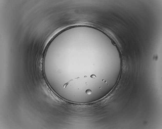 X0000113991292200910231721