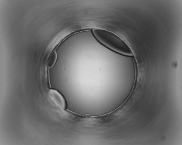 X0000113991293200910231721