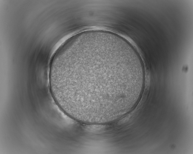 X0000113991294200910231721