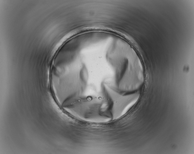 X0000113991295200910231721