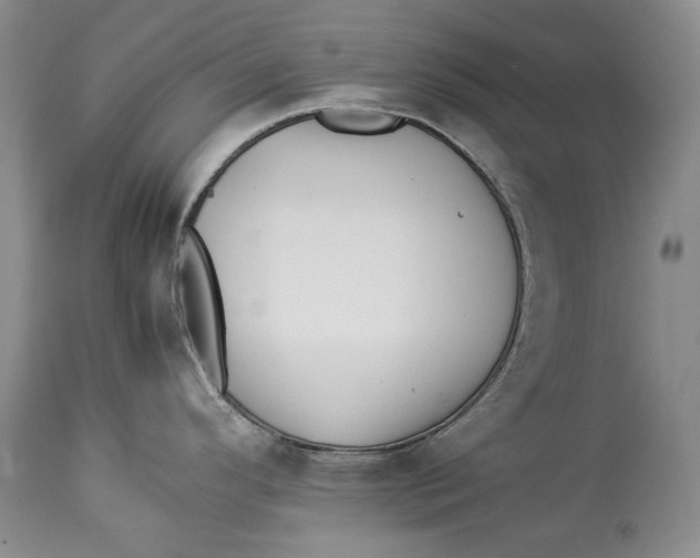 X0000113991296200910231721