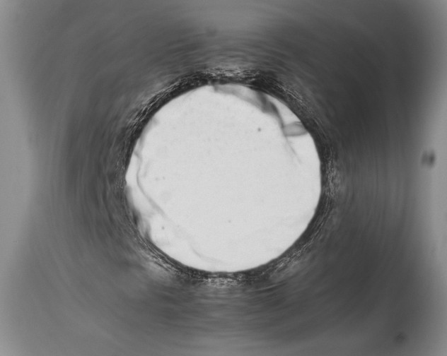 X0000113991297200910231721