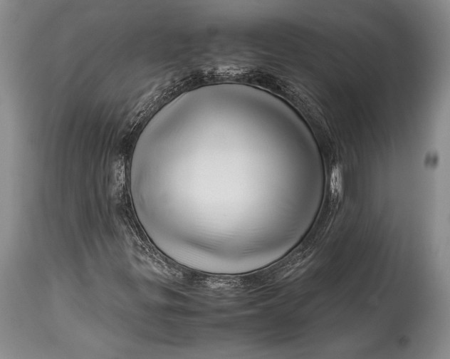 X0000113991299200910231721