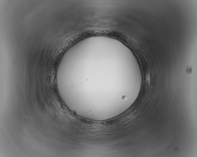 X0000113991300200910231721