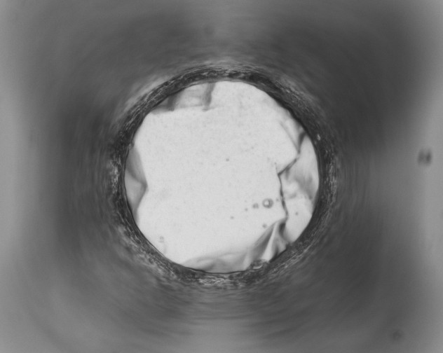 X0000113991302200910231721