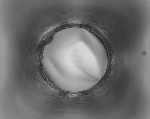 X0000113991303200910231721