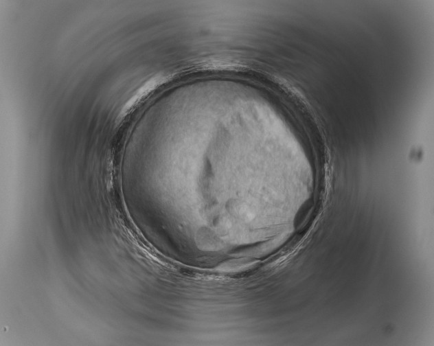 X0000113991306200910231721