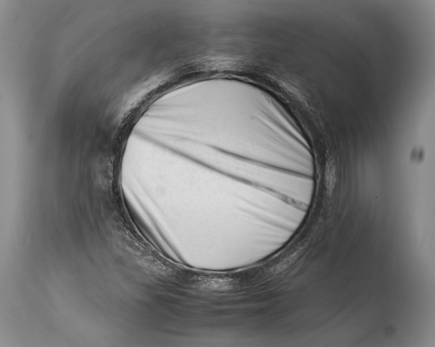 X0000113991309200910231721