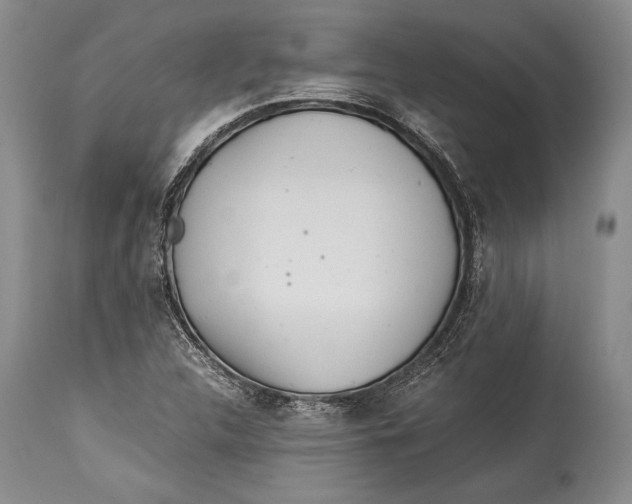 X0000113991312200910231721