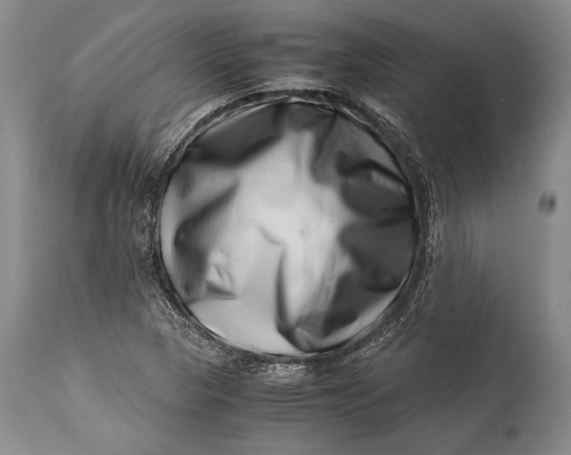 X0000113991313200910231721