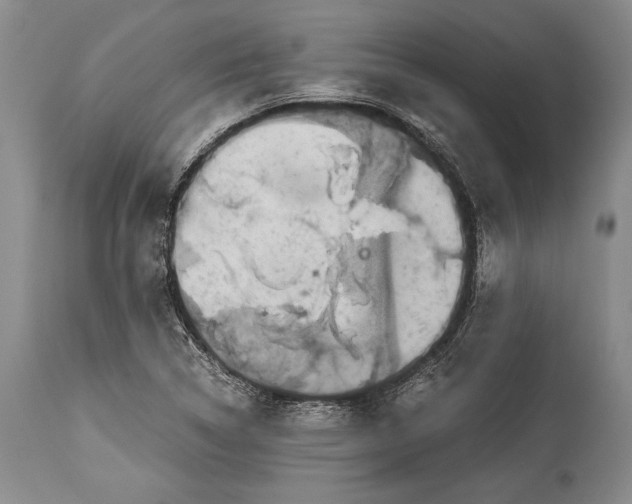 X0000113991314200910231721