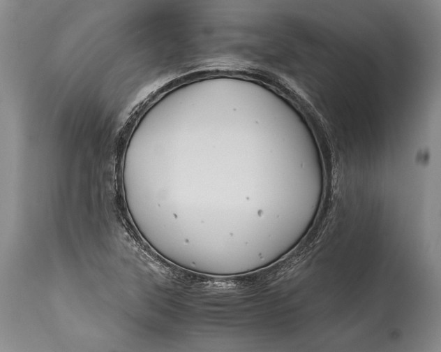 X0000113991315200910231721