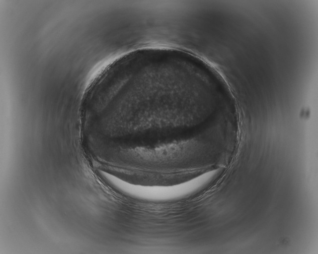 X0000113991319200910231721