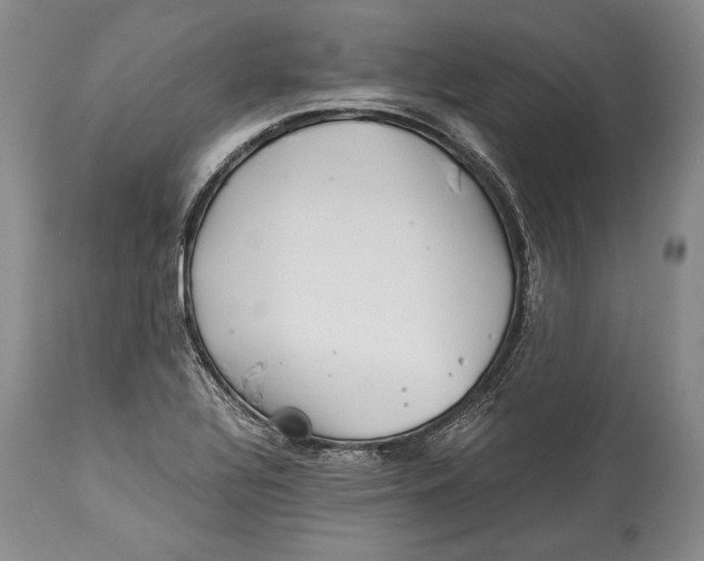 X0000113991320200910231721