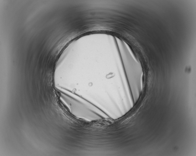 X0000113991321200910231721