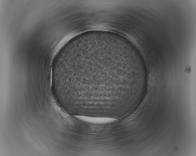 X0000113991323200910231721