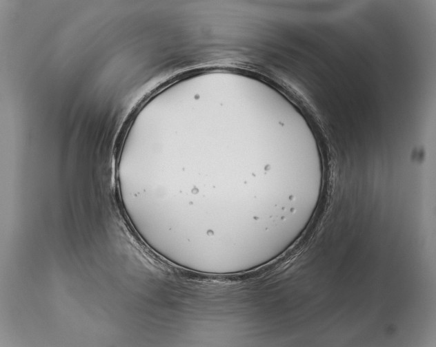 X0000113991324200910231721