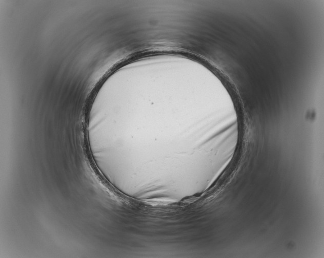 X0000113991325200910231721