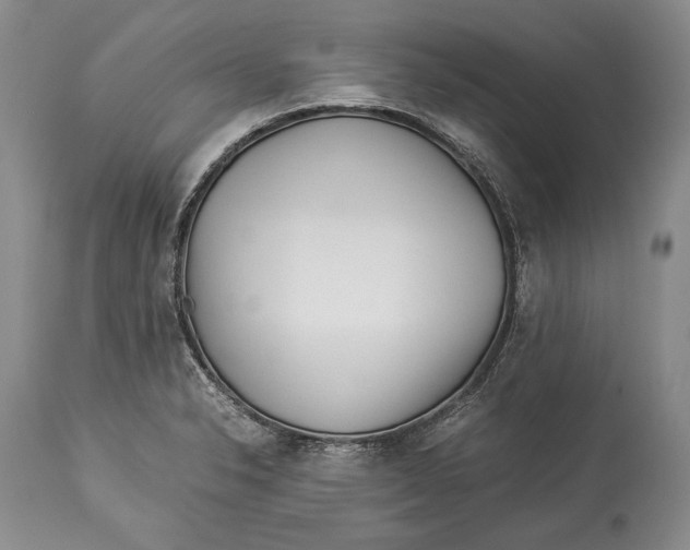 X0000113991326200910231721