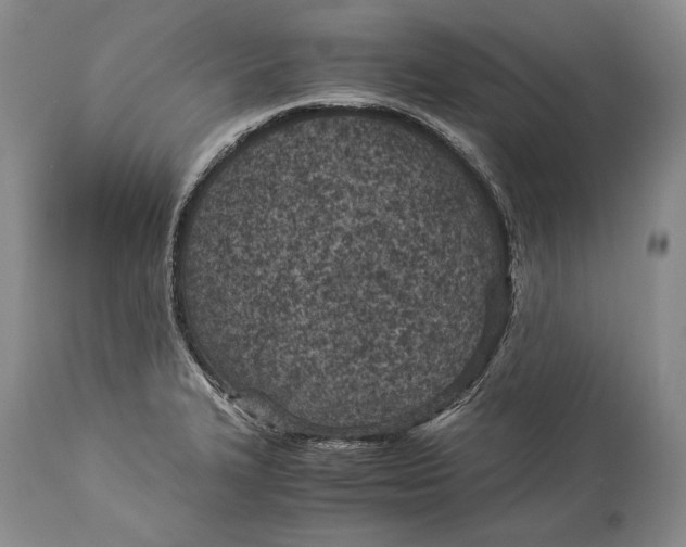 X0000113991327200910231721