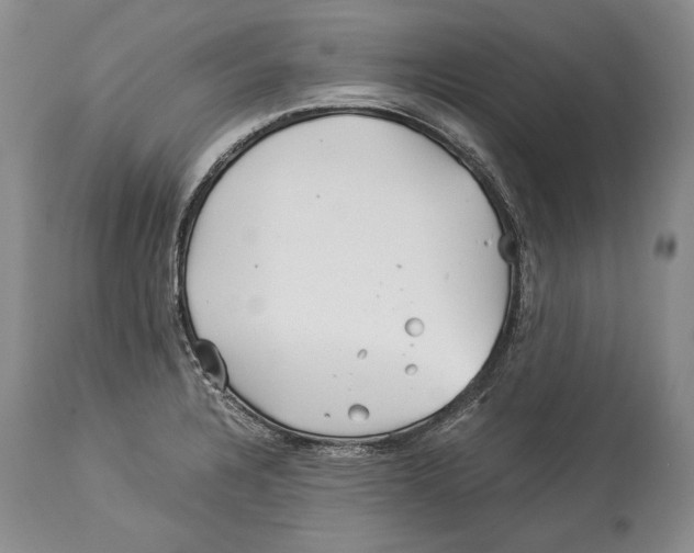 X0000113991328200910231721