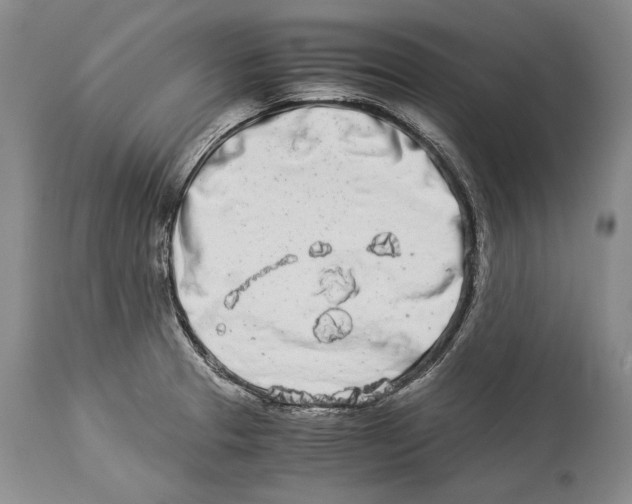 X0000113991329200910231721