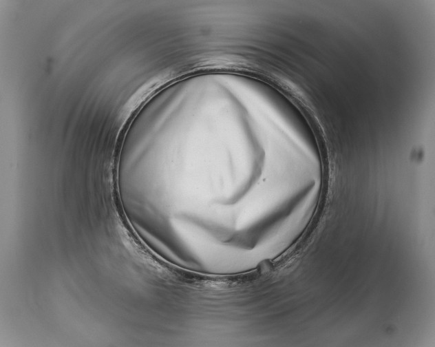 X0000113991330200910231721