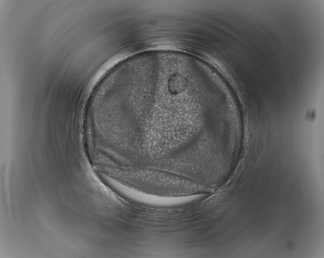 X0000113991331200910231721