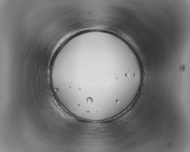 X0000113991332200910231721