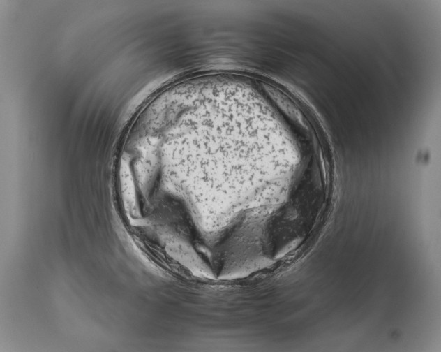 X0000113991333200910231721