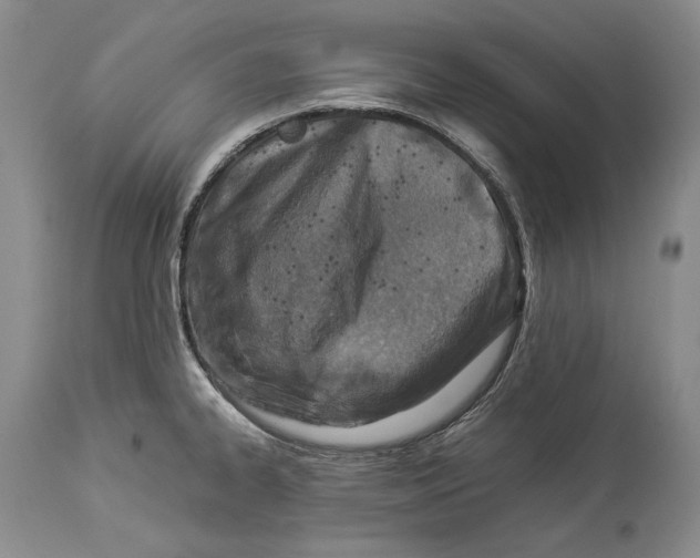 X0000113991334200910231721