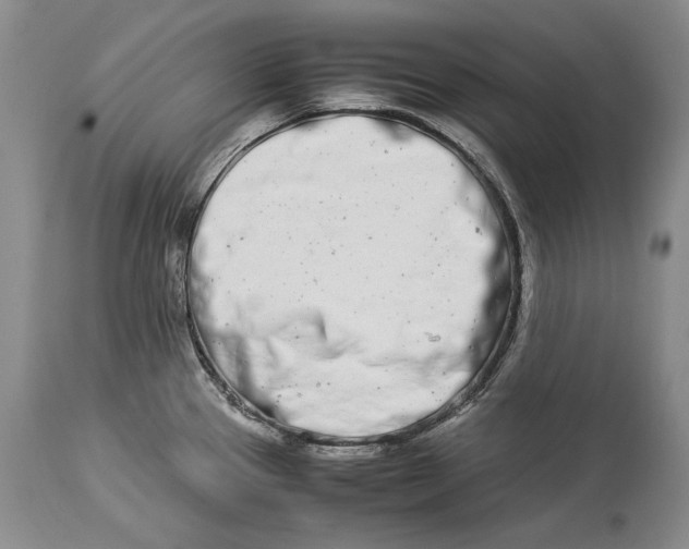 X0000113991337200910231721