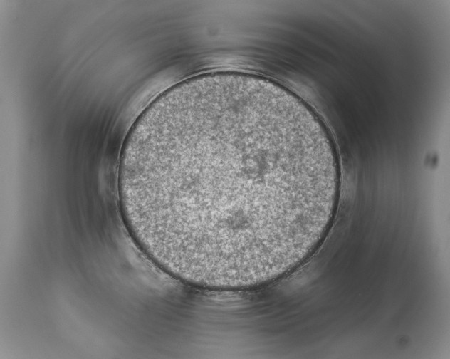 X0000113991338200910231721