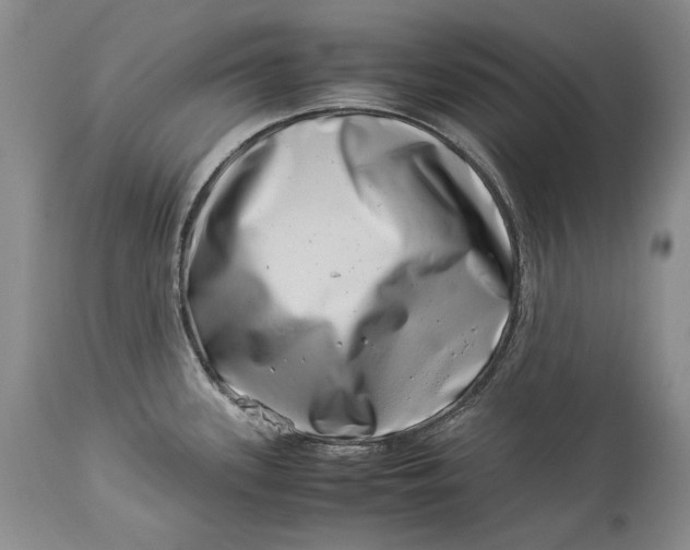 X0000113991339200910231721