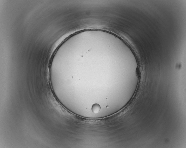 X0000113991340200910231721