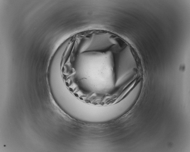 X0000113991342200910231721