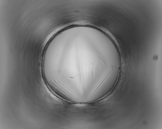 X0000113991343200910231721