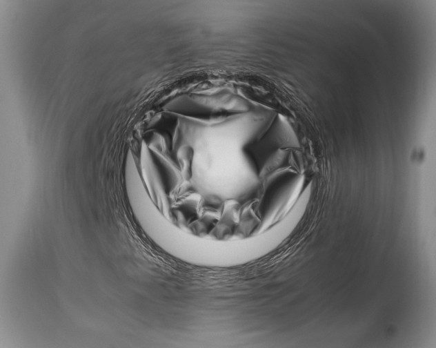 X0000113991345200910231721