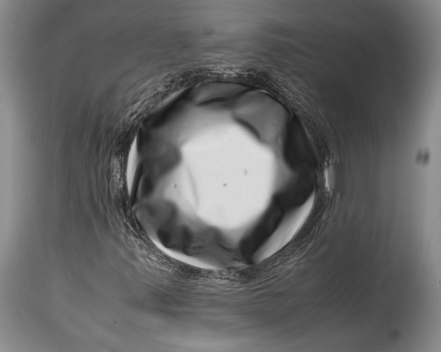 X0000113991347200910231721