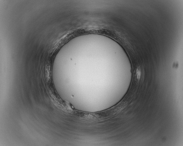 X0000113991348200910231721