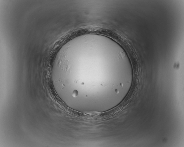 X0000113991349200910231721