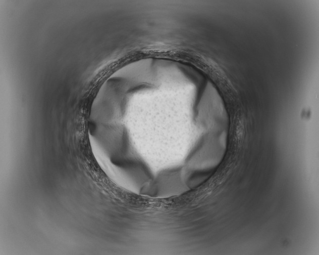 X0000113991350200910231721