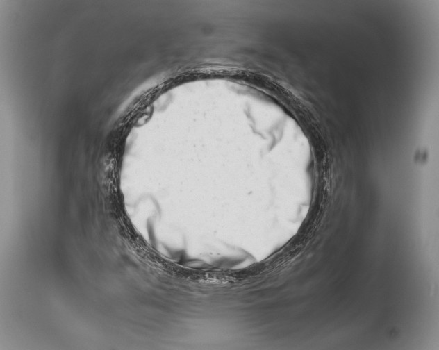 X0000113991351200910231721