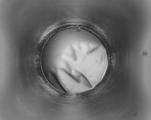 X0000113991352200910231721